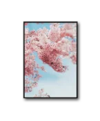 Spring Frame - Image 2