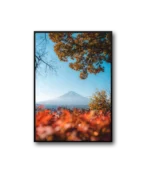 Spring Frame - Image 3